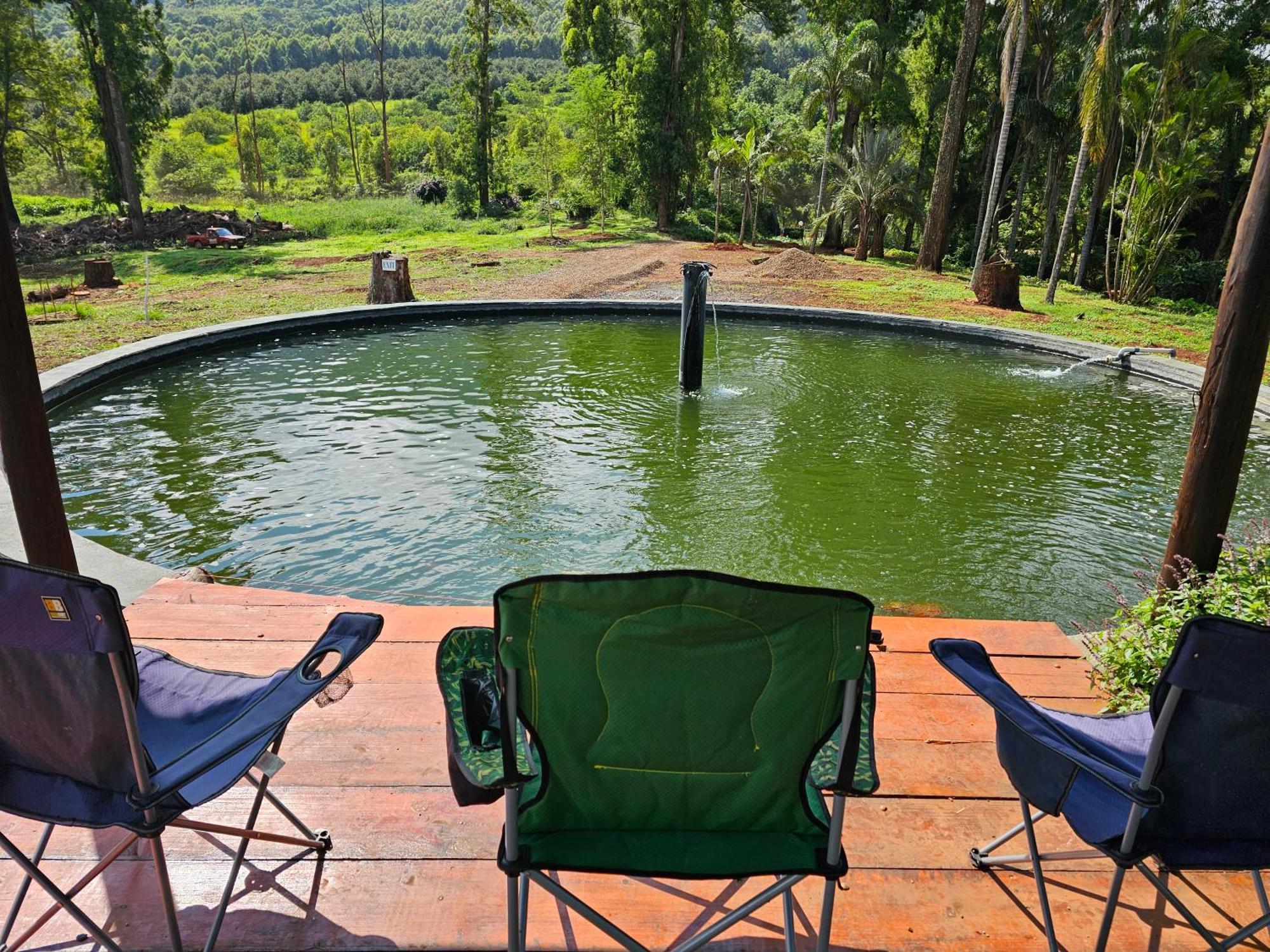 Pecan Farm Guesthouse Louis Trichardt Bagian luar foto